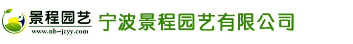 辰天智能